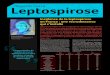 Incidence de la leptospirose en France : une recrudescence ...leptospirose-prevention.fr/wp-content/uploads/Regards_sur_la... · NEWSLETTER#15_V.qxp_Mise en page 1 11/04/2018 09:17