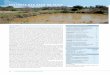 COLLECTE DES EAUX DE PLUIEGroupe GDT : Collecte des eaux de pluie 95 En haut : Micro-captages en demi-lune en zone aride, au Niger. (Hanspeter Liniger) Au milieu : Collecte et stockage