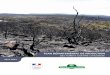 PLAN DÉPARTEMENTAL DE PROTECTION DES …4 ∫ Plan départemental de Protection des Forêts contre les Incendies ∫ 2017-2027 Nos forêts constituent une des plus belles vitrines