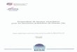 Propositions de travaux sécuritaires pour les anciennes ...infoterre.brgm.fr/rapports/RR-39008-FR.pdf · Propositions de travaux sécurtaires pour les anciennes ardoisiéres de Gourin