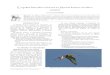 Enquête limicoles nicheurs en Marais breton …files.biolovision.net/...ou le Petit Gravelot, la Bécassine des marais ne peut faire l'objet d'une estimation par secteurs-échantillons