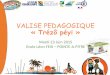 VALISE PEDAGOGIQUE « Trézô péyi · oLa création de flashcards sur les îles Guadeloupe (paysages, sites remarquables, faune et flore, etc.) oDes accords avec les mairies pour