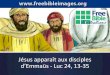 d’Emmaüs - Luc 24, 13-35 Jésus apparaît aux disciples · Jésus apparaît aux disciples d’Emmaüs - Luc 24, 13-35. Trois jours après la mort de Jésus, deux disciples se rendaient