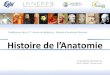 Conférences de la 1ère Année de Médecine - Module d’Anatomie …univ.ency-education.com/uploads/1/3/1/0/13102001/anato... · 2018-09-07 · Introduction . Histoire de l’anatomie