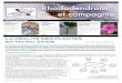 Rhododendrons et compagnie bulletin vol... · 2018-04-27 · La partie solide du sol est organisée en agrégats entre lesquels des espaces (appelés pores) contiennent la solution