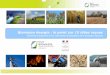 Biomasse énergie : le point sur 15 idées reçues · 2020), soit concernent toutes les filières biomasse (voir Le livre blanc des énergies renouvelables du Syndicat des énergies