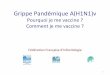Grippe Pandémique A(H1N1)vfmc-haguenau.fr/wp-content/uploads/2018/11/grippe.pdf · l’efficacité des vaccins (Alum, MF59, AS04, AS03): –Réduction des doses d’antigènes. –Réponse