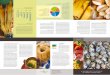 Schéma 1. LA PRODUCTION · tion de la nourriture typique estonienne, de former l’image de la nour-riture estonienne, d’améliorer la compétitivité des denrées alimentaires