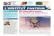 Lettre trimestrielle d’informations - L’institut Pasteur · évidence l’émergence, dans la province de Pailin, proche de la Thaïlande, de la résistance de parasites à l’artémisinine,