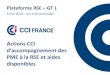 Plateforme RSE GT 1 - strategie.gouv.fr · 2017-04-11 · Plateforme RSE – GT 1 6 mai 2014 - Jan-Erik Starlander . CCI France Etalissement puli de l’Etat ui fédè e et anime