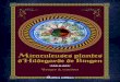 Miraculeuses plantes d'Hildegarde de Bingen · 2017-11-23 · Les préparations à base de plantes d’Hildegarde 44 Les ingrédients phares utilisés par la moniale 45 Le vin 45