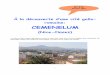 Bienvenue sur le site de l'ICEM | Coop'ICEM - CEMENELUM · 2013-11-03 · À la découverte d’une cité gallo-romaine: CEMENELUM (Nice-Cimiez) La ville de Nice (Alpes-Maritimes)