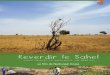 En hommage à Elhadji (12 min) - Reverdir le Sahelagrosol-sahel.org/wp-content/uploads/2013/09/... · Créée en 2007 par Pierre GEVAERT sous le nom de Sahel People Service (SPS),