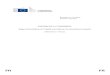 RAPPORT DE LA COMMISSION Rapport intermédiaire de l'enquête …ec.europa.eu/competition/sectors/energy/capacity... · 2019-08-16 · 3 La Commission invite les États membres de