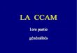 LA CCAMlrousseau/ccam.pdf · 2007. 2. 12. · Elle découle de l'obligation du codage des actes ( loi du 4 janvier 93 et decret du 6 mai 95) Elle remplacera définitivement la NGAP