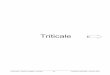 Triticale - ARVALIS-Infos.fr · 2013. 3. 28. · Triticale - Préconisations Ó ARVALIS - Institut du végétal - Auvergne 86 CHOISIR & DECIDER - Automne 2012 QUATREVENTS (Florimond