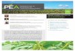 perspectives en économie de l’agroenvironnement...Dans des travaux publiés en 2015 et en 2016, l’équipe de recherche en économie de l’IRDA s’est penchée sur la rentabilité