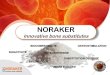 NORAKER - SODIMED · 2019. 8. 1. · GB05.1/1 0.5 - 1 3 x 1 GB05.1/05 0.5 - 1 3 x 0.5 GB004.05/1 0.04 –0.5 3 x 1 GB004.05/05 0.04 –0.5 3 x 0.5 •Le produit doit être humidifié