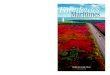 Fabuleuses Maritimes ULYSSE Fabuleuses Maritimes · Fabuleuses Maritimes (Fabuleux) Comprend un index. ISBN 978-2-89464-758-5 1. Provinces de l’Atlantique - Guides. 2. ... dans