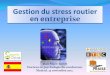 Gestion du stress routier en entreprise - ETSCarchive.etsc.eu/documents/Jean-Marc Bailet Stress in...Exercices pratiques de gestion du stress sur simulateurs de conduite (1 h 30)