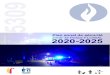 Plan zonal de sécurité Zone de Police FLOWAL 2020 2025 · policing ». Par une approche orientée vers la détection et l’analyse des causes des problèmes sous- ... Vision pour