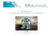 Bibliographie آ« Robotique et Intelligence Artificielleآ» Robotique et Intelligence artificielle/ Octobre
