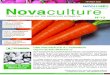 FÉVRIER 2020 Novaculture · que par son goût parfumé qui permet de proposer de nouvelles saveurs. Grâce à nos efforts de recherche, la variété propose une bonne durée de conservation