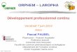 ORPHEM LAROPHADPC/ P. Paubel/ juin 2013 1 ORPHEM –LAROPHADéveloppement professionnel continu Vendredi 7 juin 2013 Arles Pascal PAUBEL Pharmacien - Praticien hospitalier Professeur