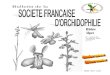 Bulletin de la - Freesfo.rhonealpes.free.fr/bulletinsfora/Bulletin22.pdf · Jarez, peu représenté dans la cartographie des orchidées de la Loire. Nous débutons notre exploration