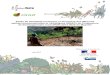 Etude de faisabilité technique et financière des Mesures …daaf.mayotte.agriculture.gouv.fr/IMG/pdf/Annexe_3... · 2018. 4. 23. · Etude de faisabilité technique et financière