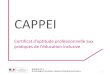 CAPPEI - ac-orleans-tours.fr€¦ · Décret de création : n° 2017-169 du 10 février 2017 Arrêté relatif à l’organisation de l’examen pour l’otention du ertifi at d’aptitude