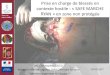 Prise en charge de blessés en contexte hostile : «SAFE MARCHE … · 2017. 6. 4. · MC Christophe LEBLEU . Médecin référent urgence CMA Clermont Ferrand. Médecin urgentiste