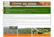 SOMMAIRE - Agriculturedraaf.hauts-de-france.agriculture.gouv.fr/IMG/pdf/BSVpom... · 2017. 6. 7. · 1 Bintje, stade croissance active, 50% de ferme-ture du rang. Tubérisation de