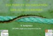 CULTURE ET VALORISATION DES ALGUES BRUNESmerinov.ca/transfert2011/presentations/34.pdf · 2010 Création de CÉVAM et multiplication des activités de R&D «algues» 2010 Essais de