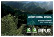 LA FORÊT SCHROLL - CITRAVAL · Alto Huayabamba et Jubilacion Segura (800 000 ha) 2016 : Enregistrement de 2.4 millions d’hectares en tant que Réserve de Biosphère à l’UNESCO,