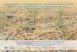 Sustainable Intensification Opportunities under · PDF file Sustainable Intensification Opportunities under Current and Future Cereal Systems of North-West India 1 1. Introduction