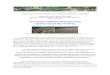 Les casse-cailloux dans les prés cassent aussi les rivières. · 2020. 1. 9. · Communiqué du Collectif SOS Loue et Rivières Comtoises – Juin 2017 Collectif SOS Loue et Rivières