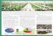 R35 - Magagazine Bioénergie international no35 - janvier ... · %4 ceb7h6g