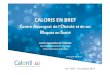CALORIS EN BREF · Mr. Sauret, directeur adjoint, SSR L’Hort des Melleyrines, Haute Loire 4/ Une autre écoute du patient obèse : l’entretien psychanalytique (à partir de cas