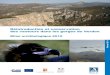 Bilan ornithologique 2010 / SH MGB - LPO PACA février 2011rapaces.lpo.fr/sites/default/files/vautour-moine/... · Réintroduction et conservation des vautours dans les gorges du