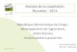 Assises de la coopération Bruxelles - 2014 · Bruxelles - 2014 •Le paradoxe congolais •La gestion foncière •Le foncier : initiatives de clarification ... RCN Justice et Démocratie,
