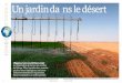 t o s h k a Un jardin da ns le désert - Radio Télévision Suisse · 2012. 2. 23. · ConFliT Les travailleurs saisonniers touchent entre 3,90 et 5 francs par jour. En mai, ils se
