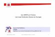 Les ZAPA en France Les LowEmission Zones en Europe · Allemagne 2 Pays Nb de projet Villes Horizon • Des évolutions dans les LEZ existantes : normes plus strictes en Allemagne