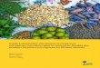Guide à destination des petites et moyennes entreprises ... · l’okok ou le fumbwa (Gnetum spp.), le miel et la cire, la gomme arabique, le raphia (Raphia farinifera), Cola acuminata,