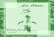 Dossier Ortie Briac Term S - Vent'à La Ferme · 2019. 9. 23. · L’ortie dioïque est une plante herbacée vivace. Germination : L’ortie peut être semée, et les graines germent