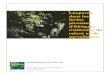 Léopards dans les forêts pluviales d’Afrique : …...Léopards dans les forêts pluviales d’Afrique : méthodes de relevé et de surveillance Photographies des couvertures avant