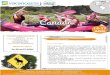 14-17 ANS ans - Vacances pour tous · 2020. 1. 18. · l’Ontario, il permet une immersion en pleine nature avec l’observation d’une faune encore sauvage, ou la pratique du canoë-camping