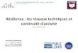 Résilience : les réseaux techniques et...ECOLE DES INGENIEURS DE LA VILLE DE PARIS Ecole de la ville durable Projet H2020 RESCCUE (2016-2020) Climate Resilient Cities and Infrastructures,