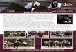 Equita’Lyon 2016, à Eurexpo (69) · Equita’Lyon 2016, à Eurexpo (69) du 26 au 30 Octobre au 2016 (photos - texte Aurore Salzard) Belle programmation en matière de chevaux de