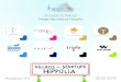Village des startups Hippolia · 2019. 3. 7. · Le Prix des startups Hippolia by Equita 3 prix décernés à Equita Lyon 20 professionnels ont participé au jury +8 000 votants +5